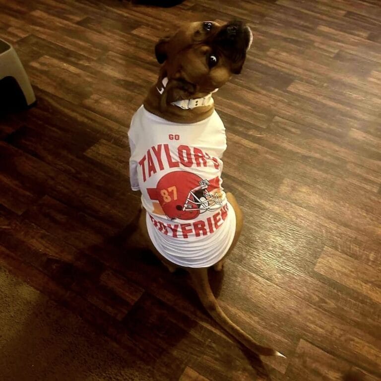 486374035_1104241168383187_1451652553245615424_n