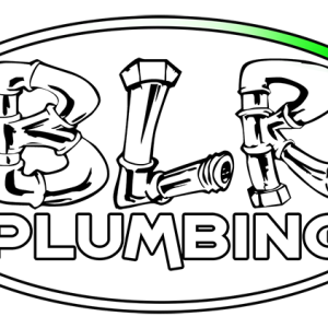blr_plumbing_logo_white_green_clearbacked2 copy